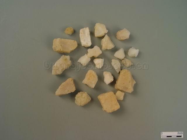  青皮竹/华思劳竹/竹黄/竹膏/天竹黄/竹糖/Concretio Silicea Bambusae/Bambusa textilis Mc Clure/Schizostachyum chinense Rendle/天竺黄 