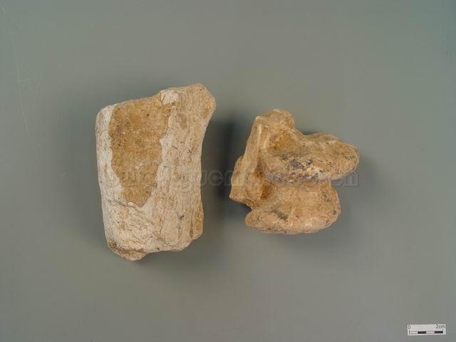 为古代哺乳动物如象/犀牛类/三趾马等的骨骼化石/陆虎遗生/那伽骨/Os Draconis/Fossil paleovertebrales/龙骨/煅龙骨