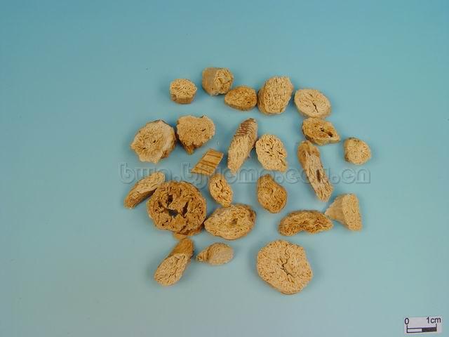  轮叶沙参/杏叶沙参/沙参/知母/白沙参/泡参/土人参/白参/Radix Adenophorae/Adenophora tetraphylla (Thunb.) Fisch./Adenophora stricta Miq./南沙参咀 