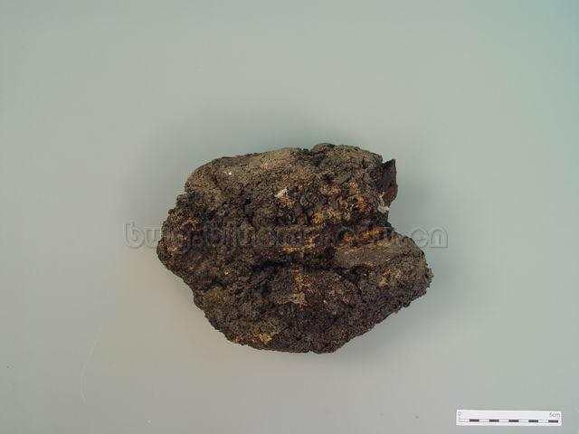  漆树/漆渣/漆底/漆脚/Resina Taxicodendri/Toxicodendron vernicifluum(Stokes)F.A.Barkl./干漆炭 