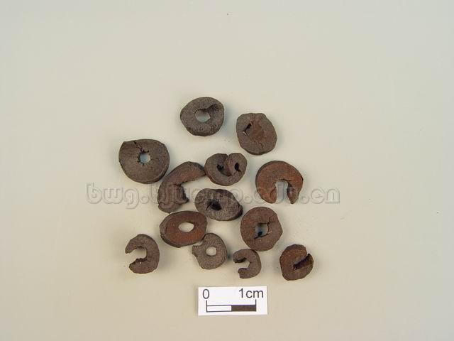 牡丹/牡丹根皮/丹皮/丹根/Cortex Moutan/Paeonia suffruticosa Andr./丹皮片/丹皮炭