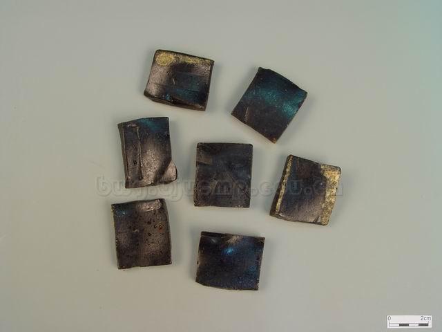  乌龟/龟胶/龟版胶/龟版膏/Colla Carapacis et Plastri Testudinis/Chinemys reevesii (Gray)/龟甲胶 